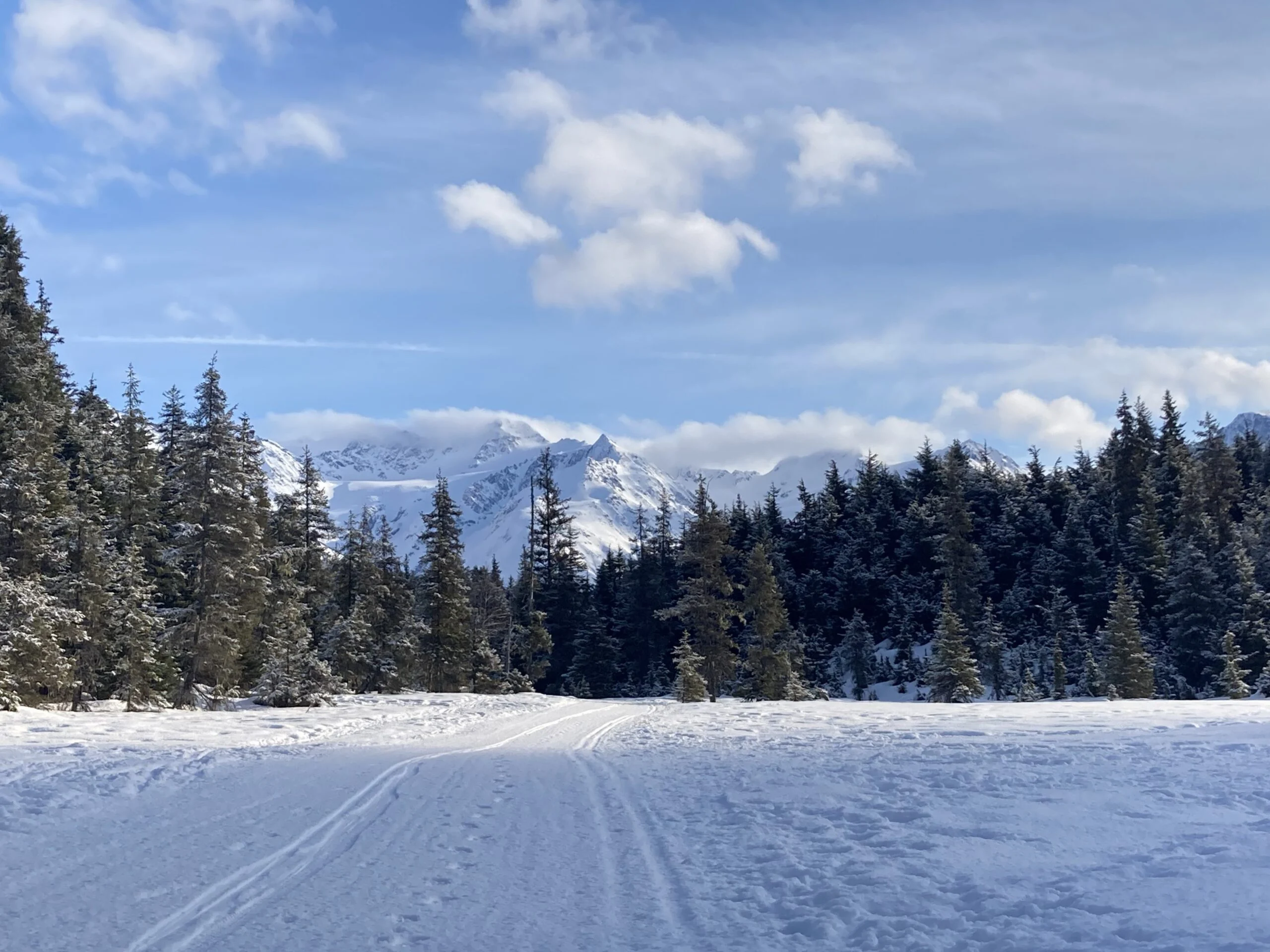 Groomed classic ski tracks cross a snowy meadow toward spruce trees and snowy peaks under a blue sky with clouds.