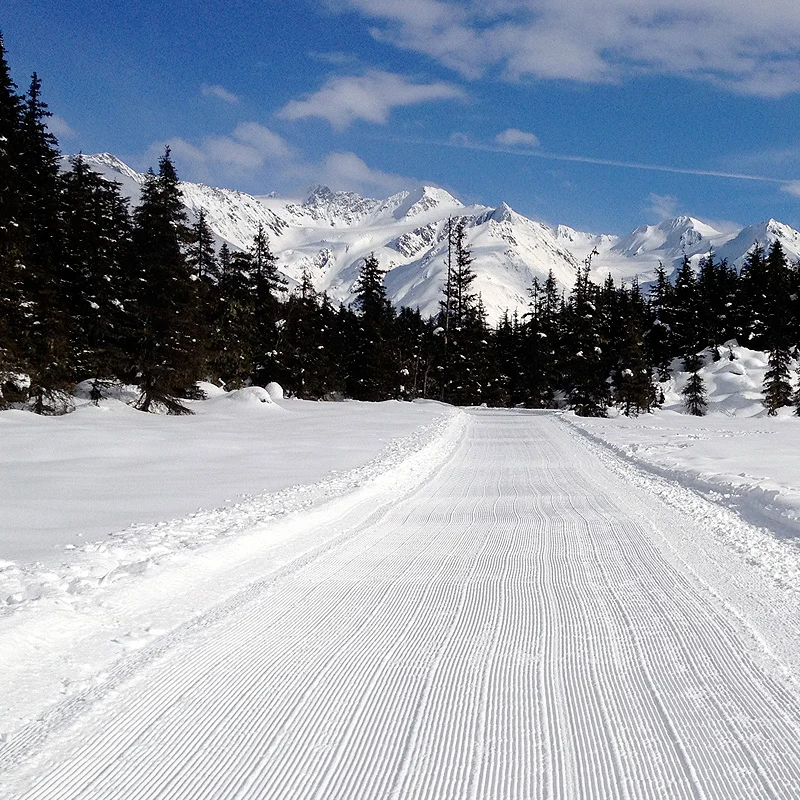 Fresh corduroy runs through a snowy meadow and spruce trees toward sunlit mountains under a blue sky with clouds.