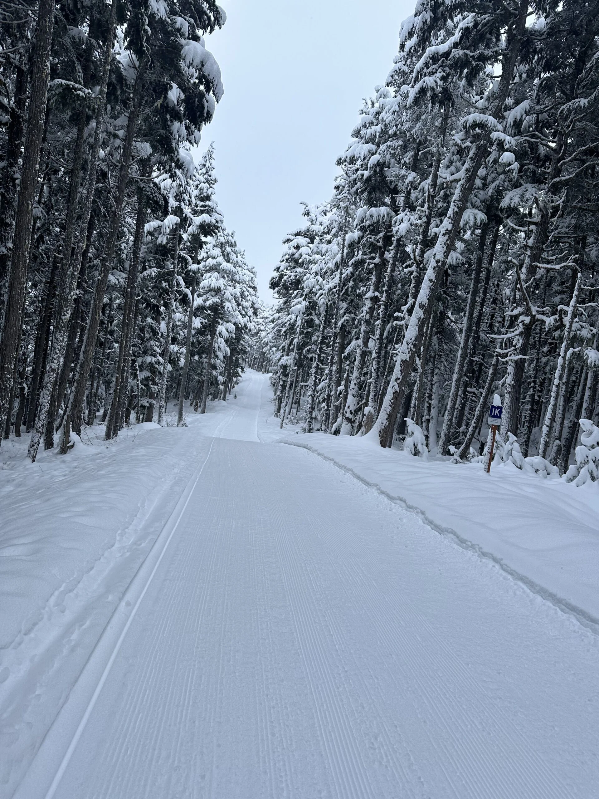 A groomed ski trail with a classic track runs between snow-laden spruce trees, with a small trail sign on the right.