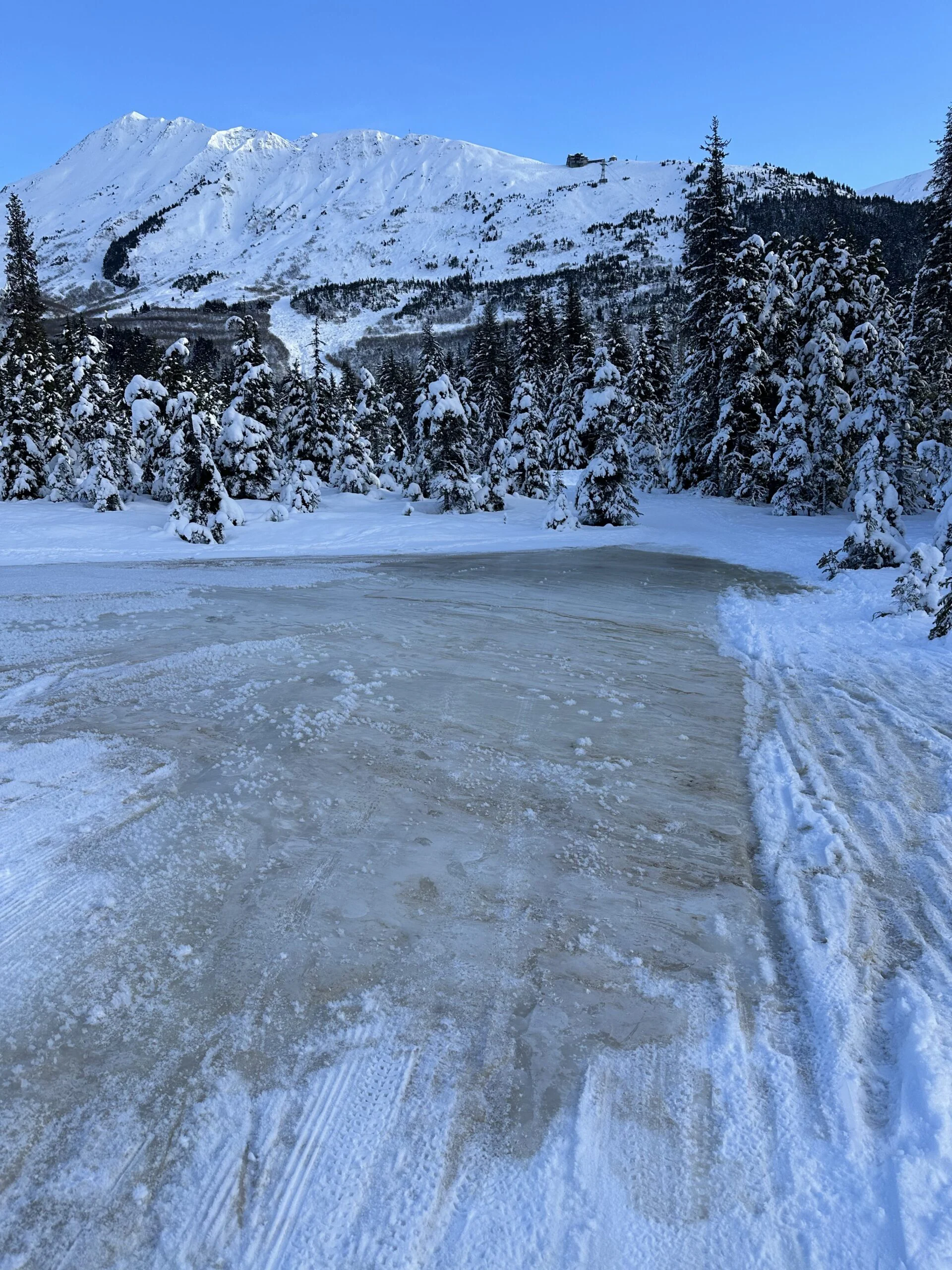 Glazed, icy trail surface edged with groomed snow, below snowy spruce and a white mountain under blue sky.
