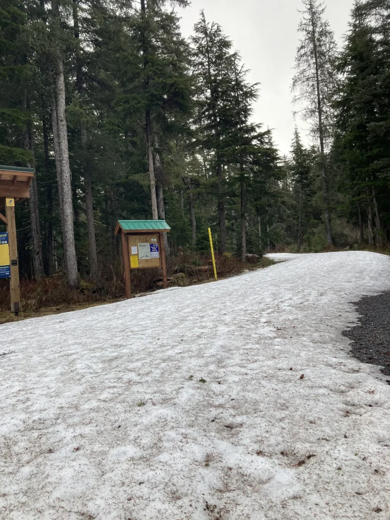 Thin, dirty spring snow on a wide trail beside a wooden kiosk with posted notices, in spruce forest on an overcast day.
