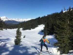 A skier in a teal and yellow jacket glides down a sunny snow slope between spruce trees, with mountains behind.