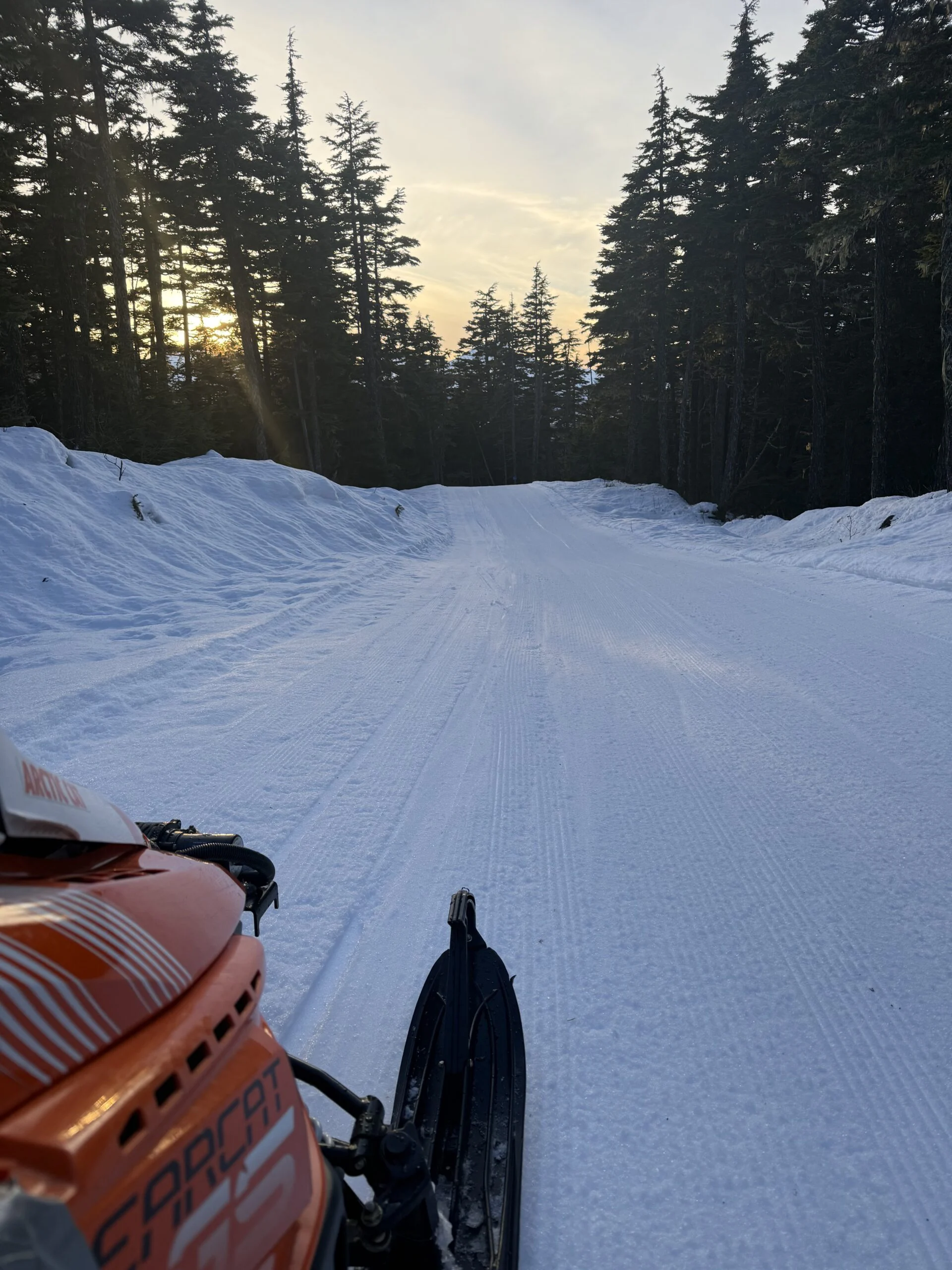 View over an orange snowmachine's hood down a wide groomed trail lined with tall spruce, the sky glowing gold.