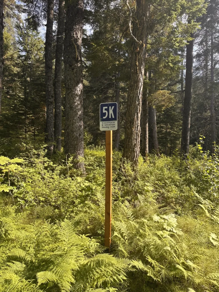 The blue 5K trail sign on a wooden post among ferns and tall spruce trees in summer.